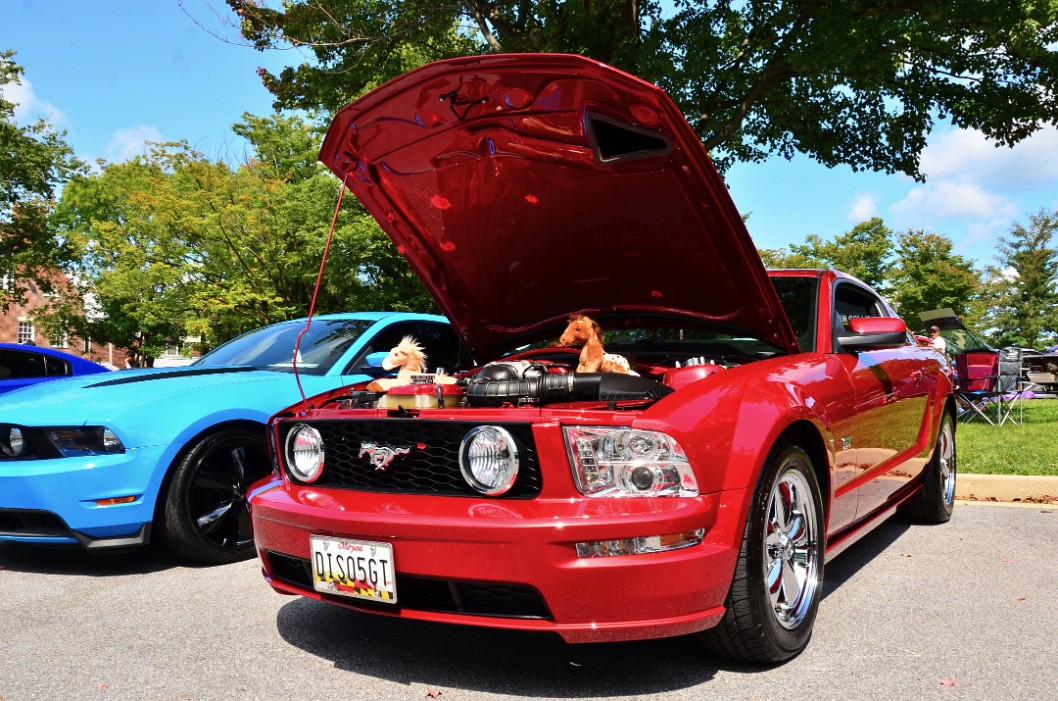 2005 Ford Mustang GT in Red and Full of Horses