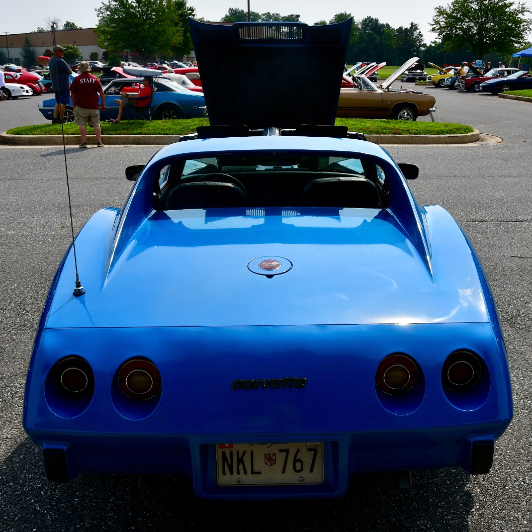 That 70s Corvette Rear