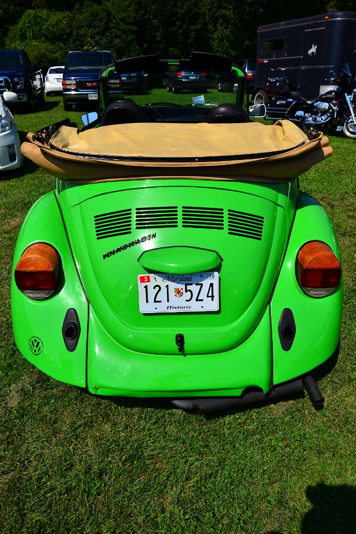 Full Rear View on a Bright Green Beetle Full Rear View on a Bright Green Beetle