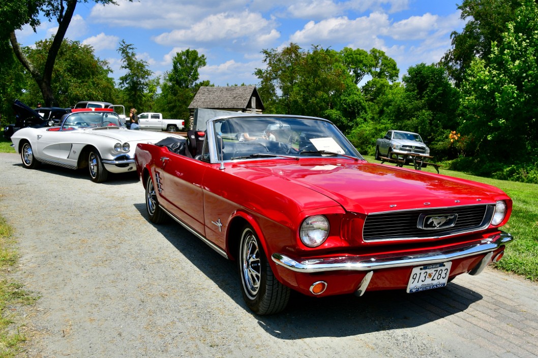 Mustang and Corvette