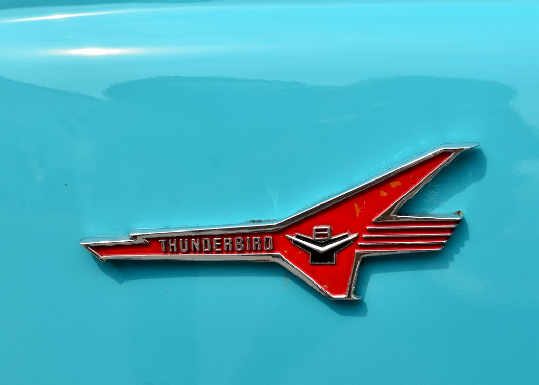 Thunderbird Badge on a Crown Vic Thunderbird Badge on a Crown Vic