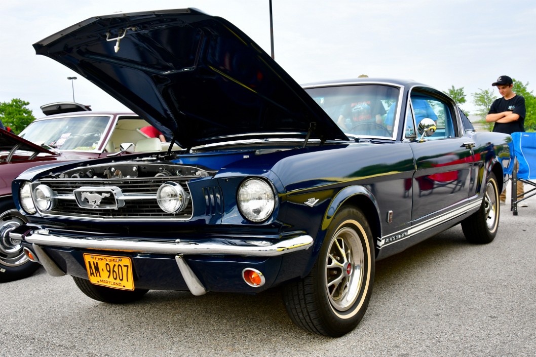 1966 Ford Mustang in Dark Blue