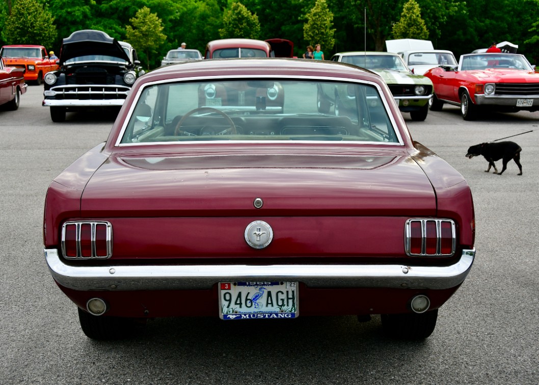 Rear View of a Red 1966 Ford Mustang