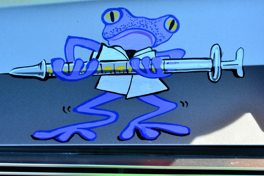 Nova Caine Frog Nova Caine Frog