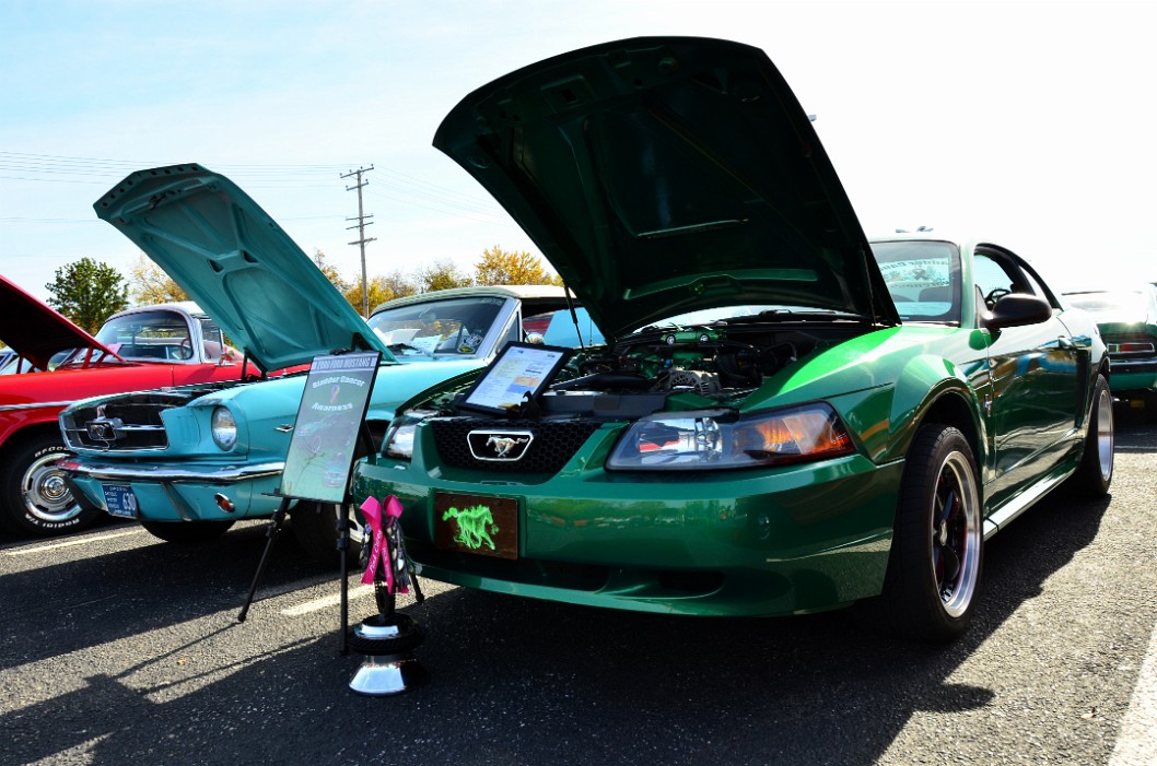 2000 Ford Mustang for Bladder Cancer Awareness 2000 Ford Mustang for Bladder Cancer Awareness