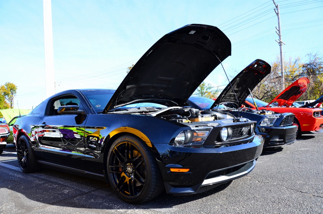 2011 Ford Mustang in Thick Black 2011 Ford Mustang in Thick Black