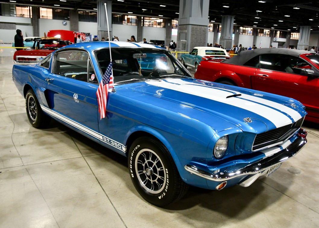 1966 Ford Shelby GT350 in Blue and White