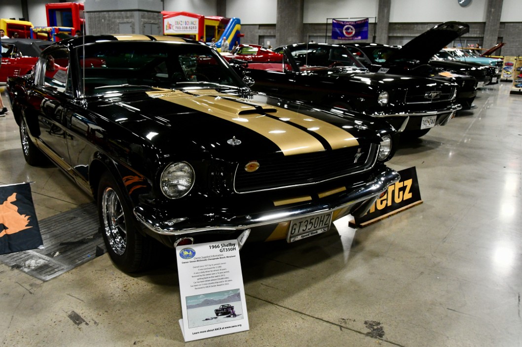 1966 Shelby GT350H in Black and Gold
