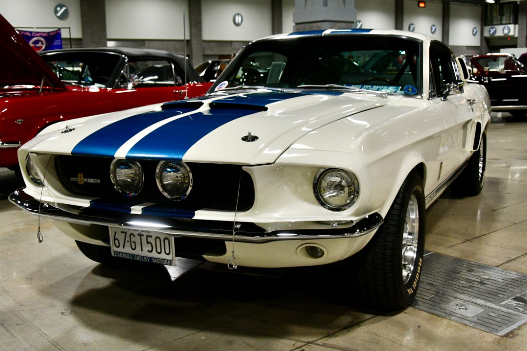 1967 Shelby GT500 in White and Blue