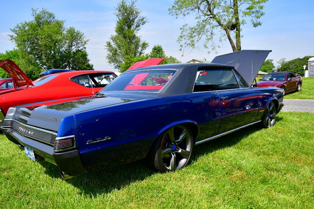 Stunning Blue of the GTO Rear Profile