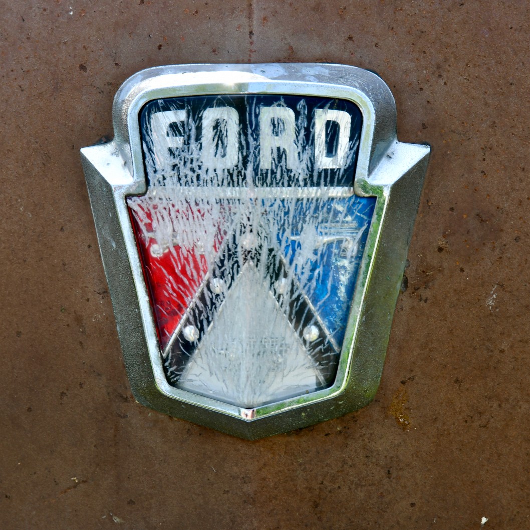 Ford Badge With Spidered Face