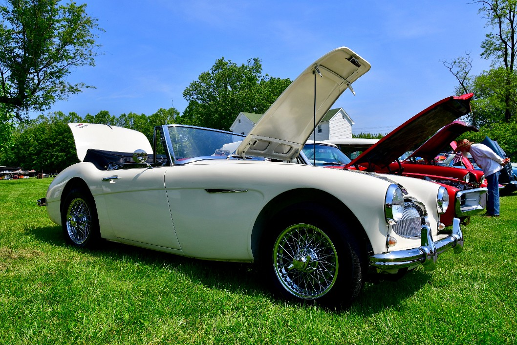 Boot and Bonnet Open on the Austin-Healey